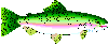 Fish Logo